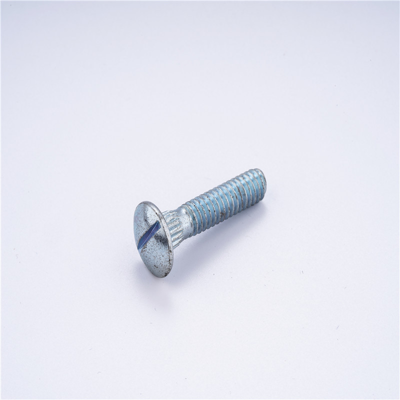 carriage bolt 