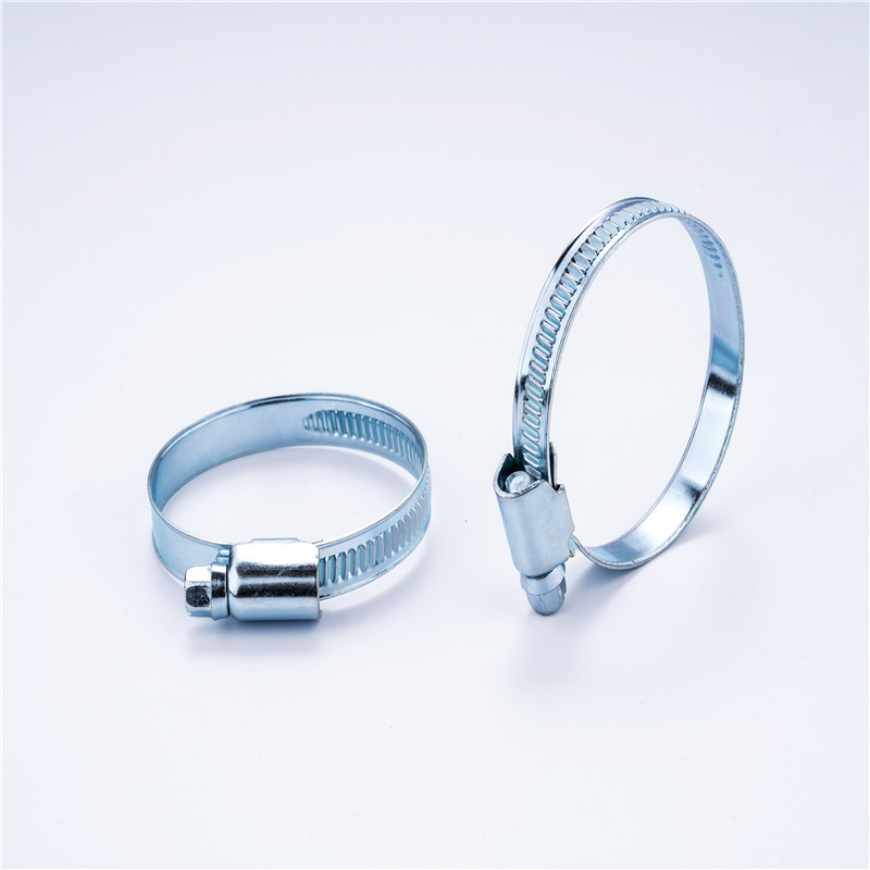 hose clamp