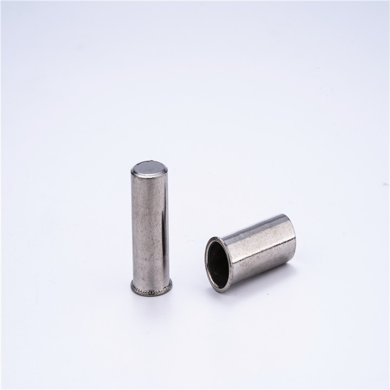 Blind Rivet nut