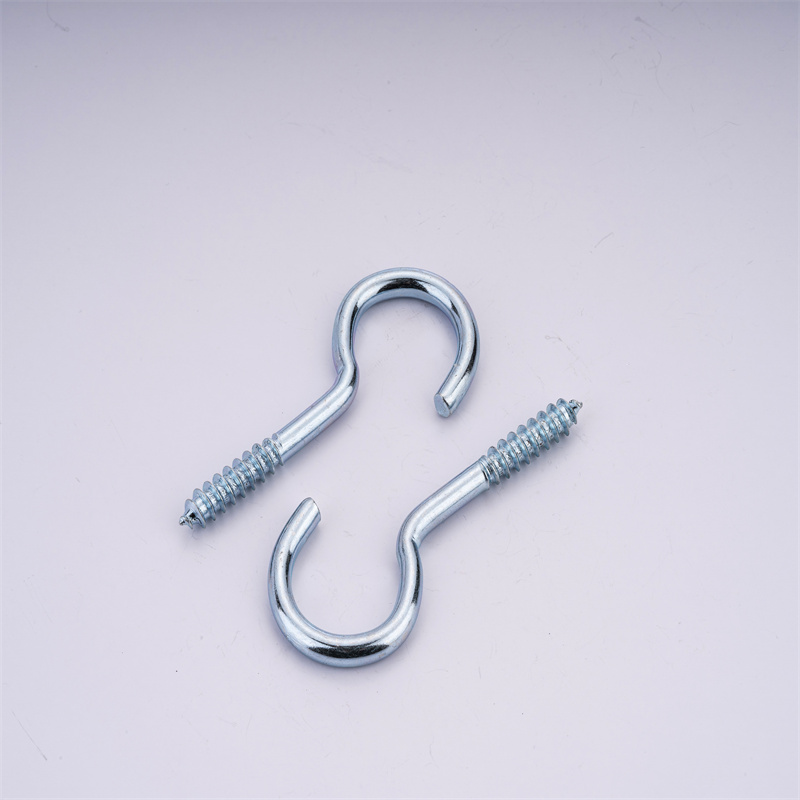 Eye hook screw