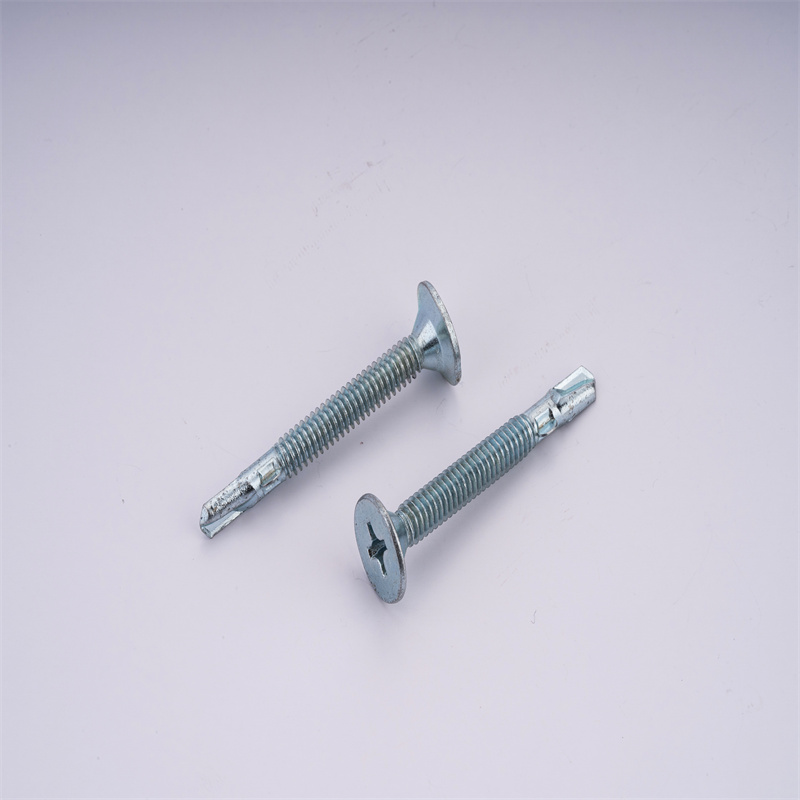 self-drilling screw 