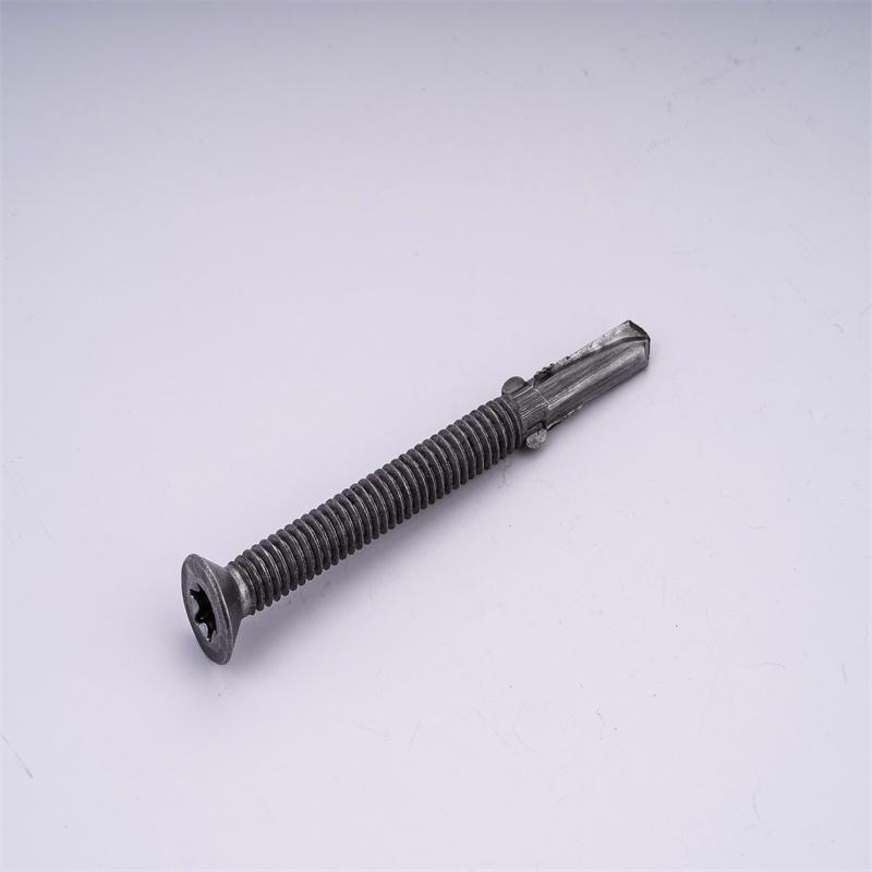 self-drilling screw 