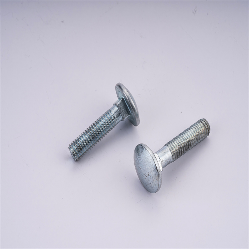 Carriage bolt