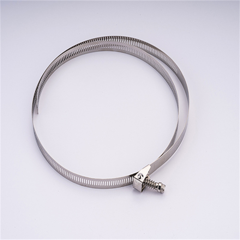 quick released hose clamp